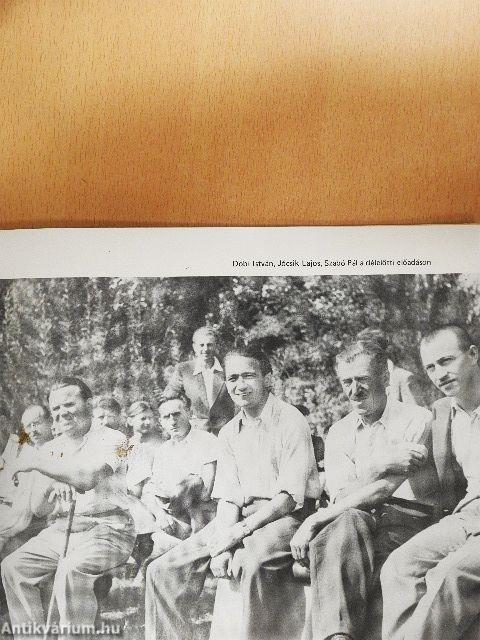 Szárszó '43