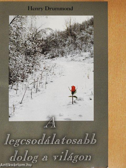 A legcsodálatosabb dolog a világon
