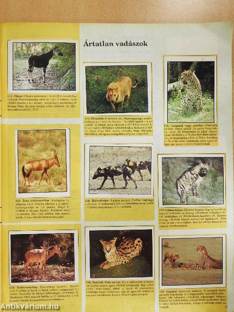WWF - Védett állatok