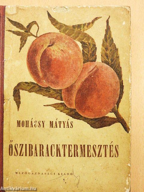 Őszibaracktermesztés