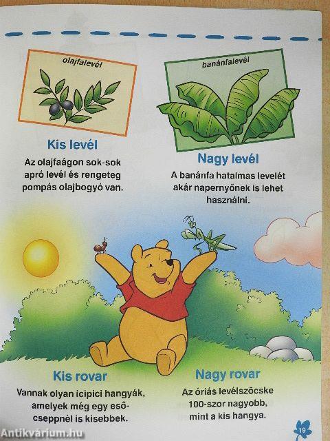 Kicsik és nagyok