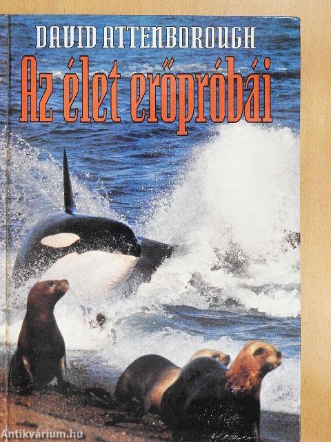 Az élet erőpróbái