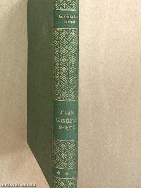 Az én életem regénye