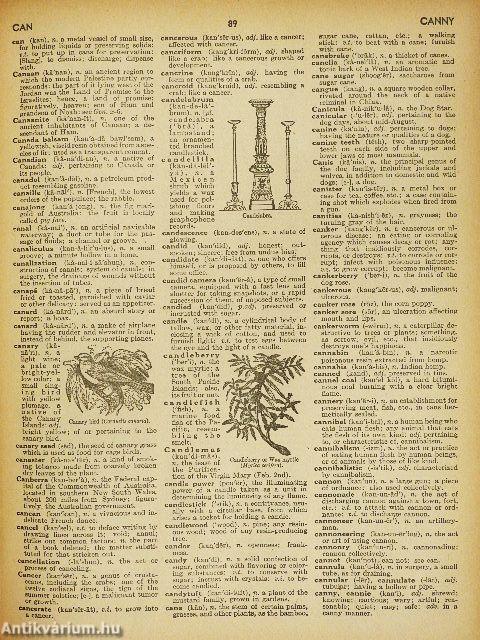 Webster's Giant Illustrated Approved Dictionary