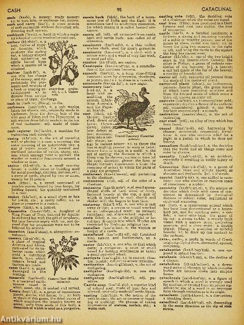 Webster's Giant Illustrated Approved Dictionary