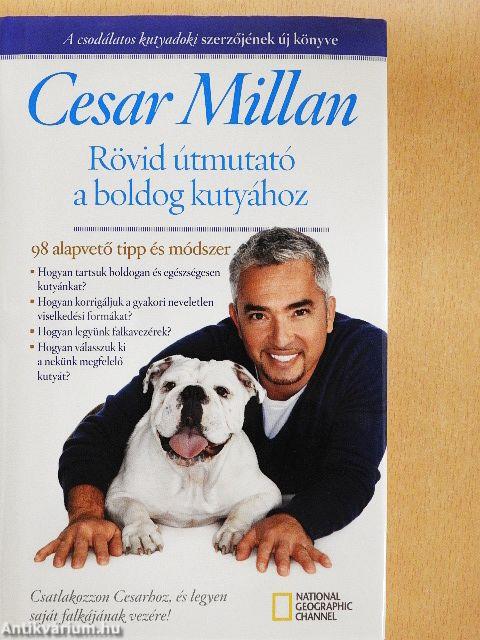 Rövid útmutató a boldog kutyához