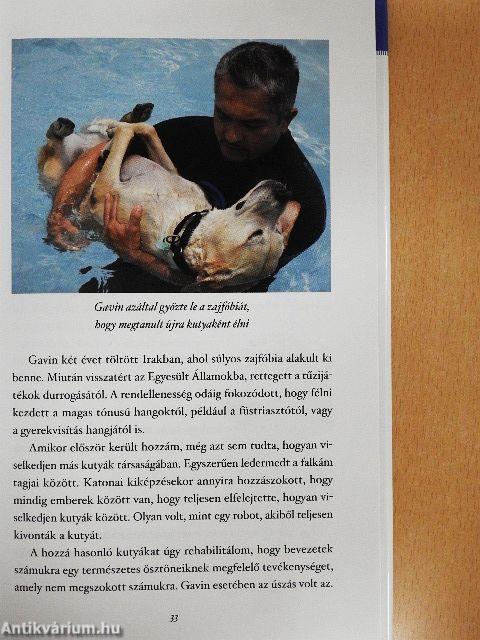 Rövid útmutató a boldog kutyához