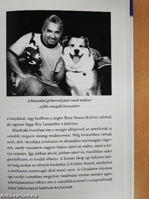 Rövid útmutató a boldog kutyához