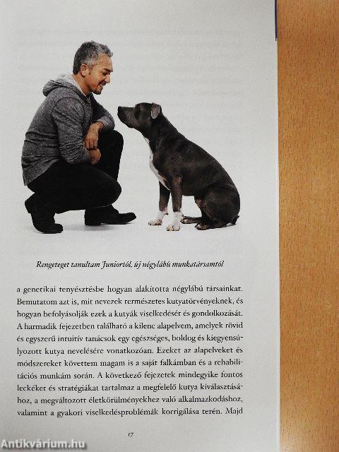 Rövid útmutató a boldog kutyához