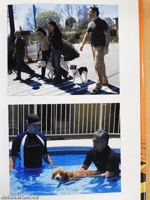 A csodálatos kutyadoki