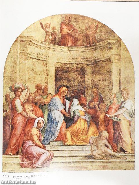 L'opera completa del Pontormo