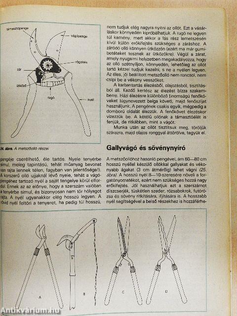 A metszés ábécéje