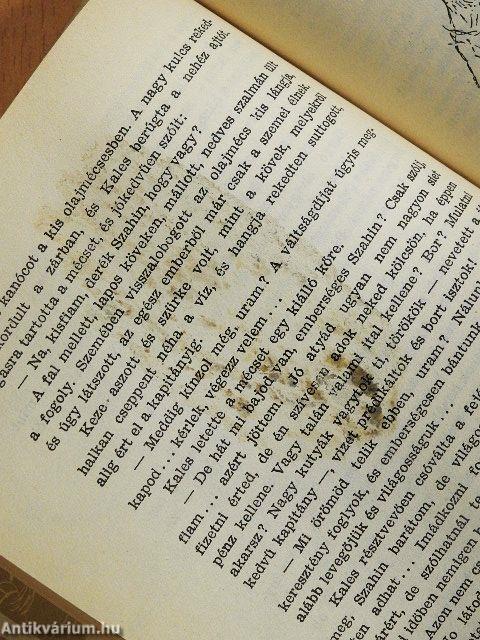 A koppányi aga testamentuma