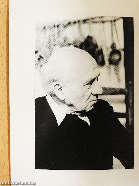 Versek és képek