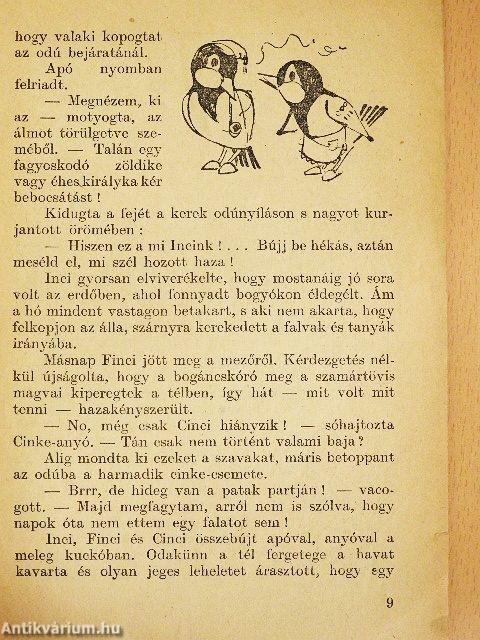 Medve anyó születésnapja