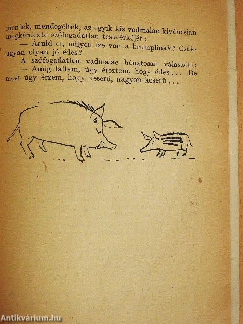 Medve anyó születésnapja