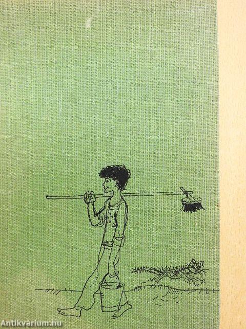 Tom Sawyer kalandjai