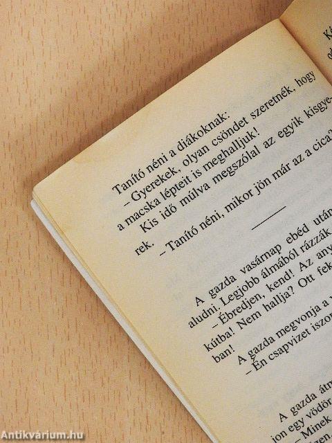 Kész téboly!