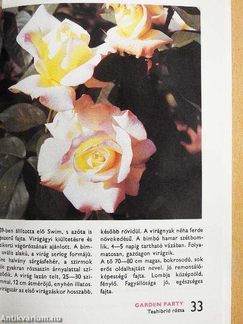 88 színes oldal a rózsákról