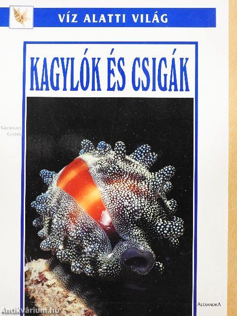 Kagylók és csigák