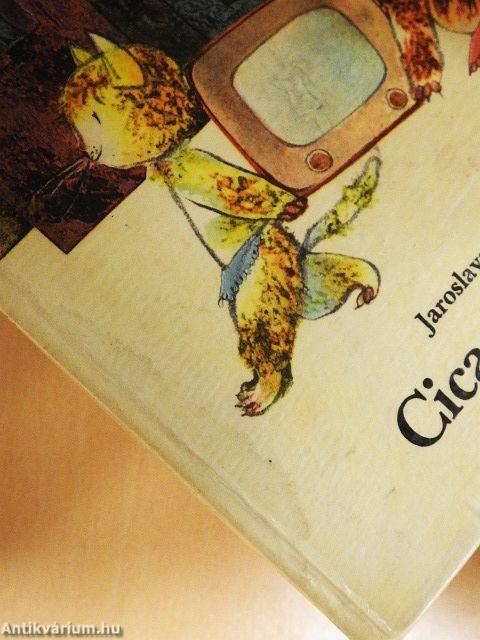 Cica-televízió