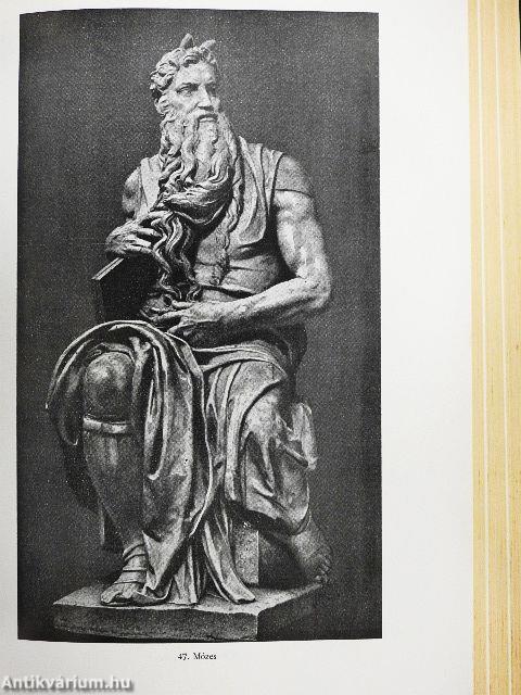 Michelangelo