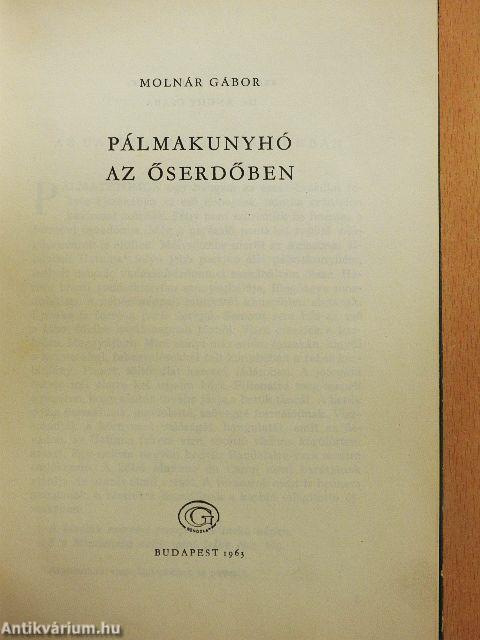Pálmakunyhó az őserdőben