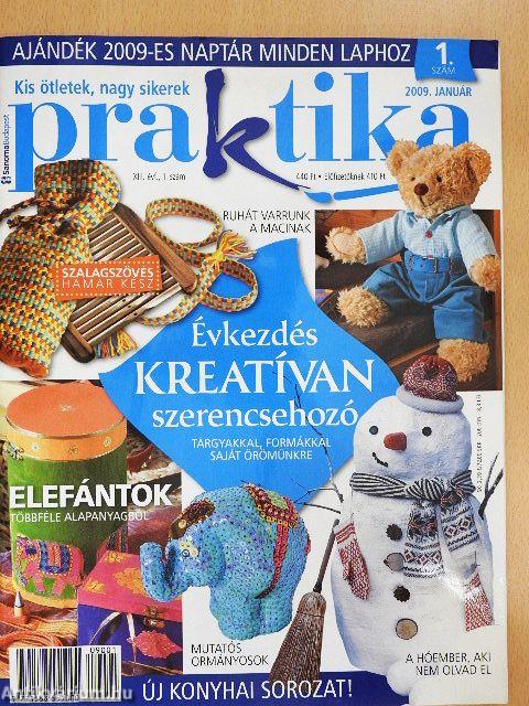 Praktika 2009. január-december