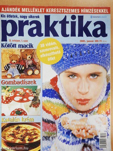 Praktika 2005. január-december
