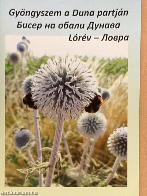 Gyöngyszem a Duna partján