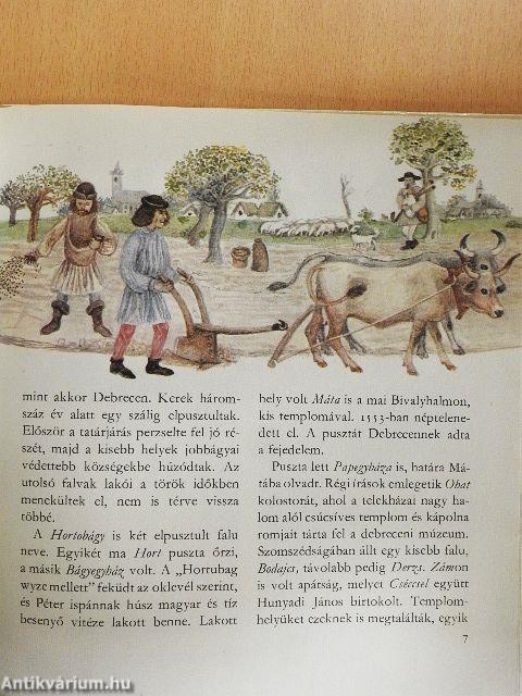 Amiről a puszta mesél