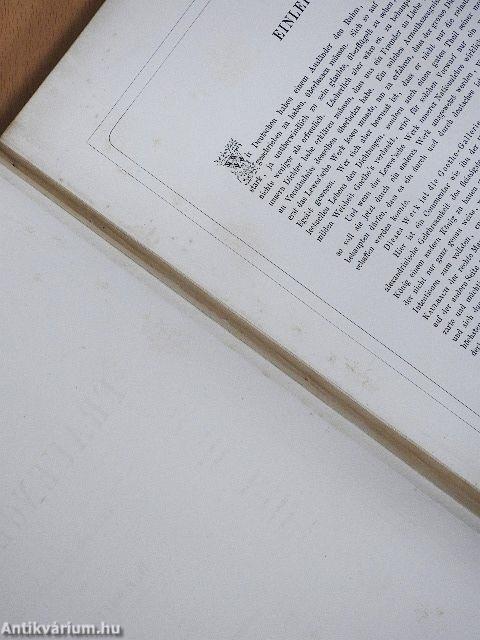 Goethe's Frauengestalten