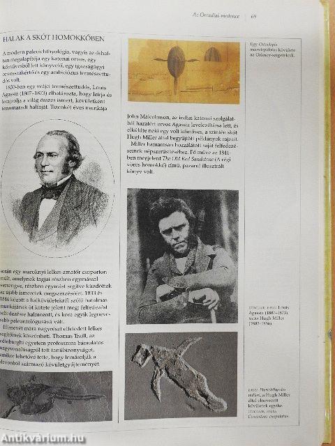 Az élet könyve