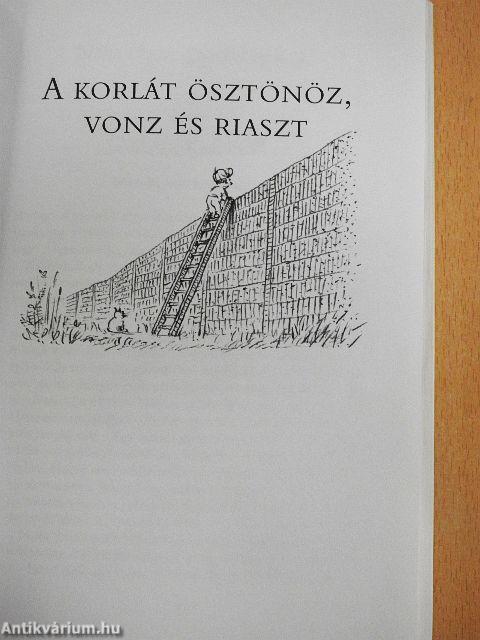 Kell a gyereknek a korlát