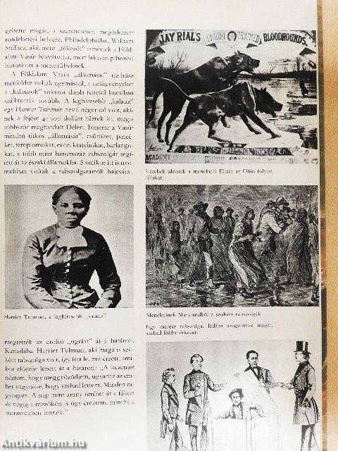 Polgárháború Észak-Amerikában