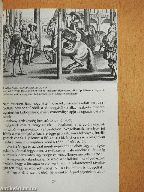 A lovaglás alapjai