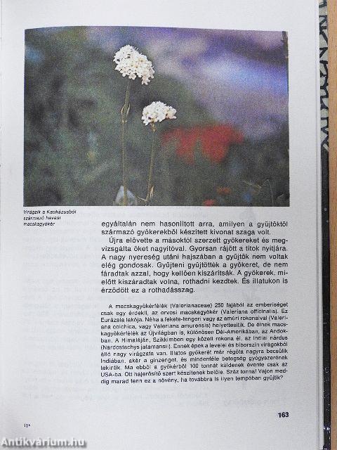 Varázslatos növények - különös történetek