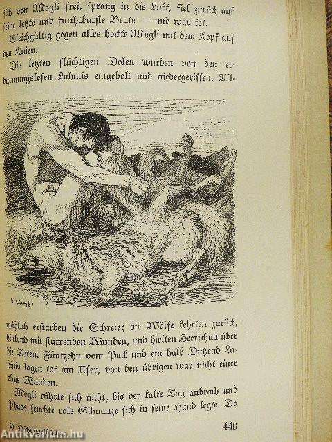 Die Dschungelbücher (gótbetűs)