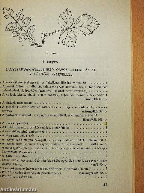 Kis növényhatározó 