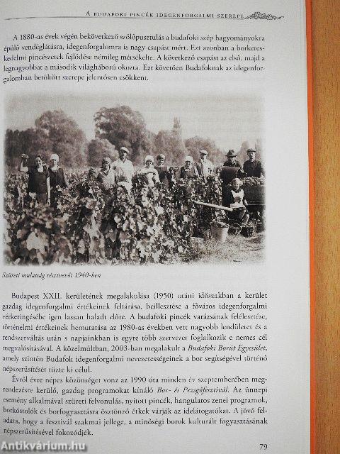 A budafoki pincék világa