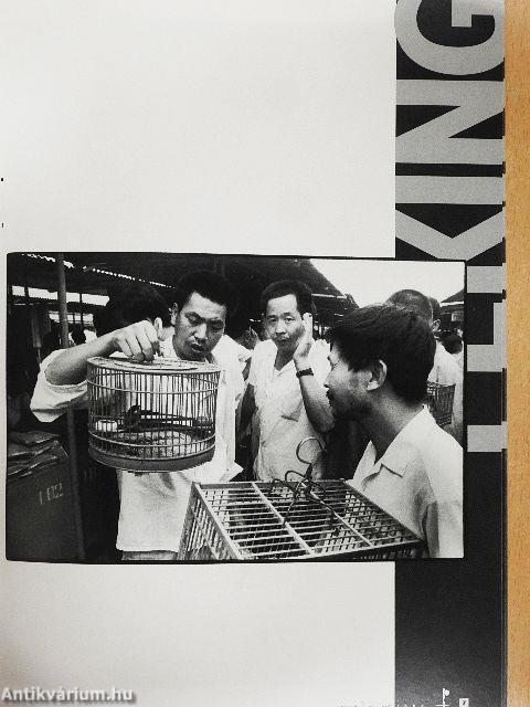 Peking 1984