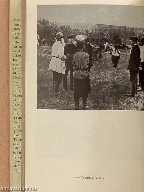 Kortársak Lev Tolsztojról