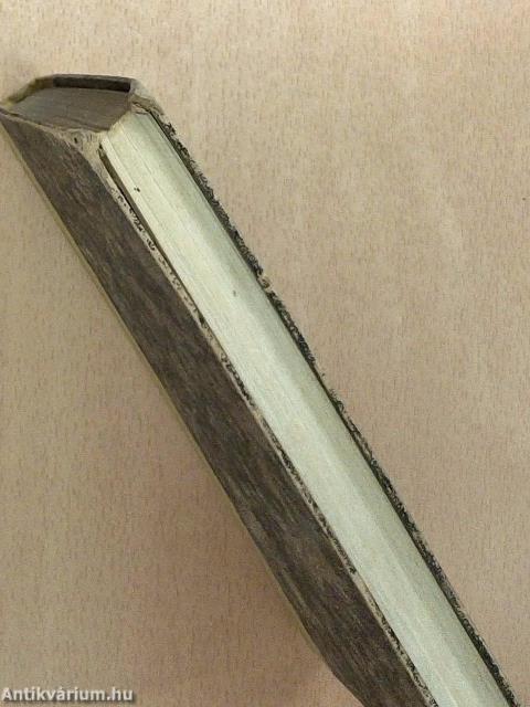 A gyerekek