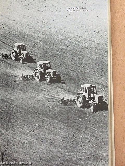Egy ország a csillagon