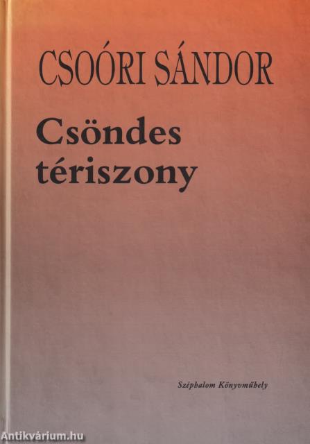 Csöndes tériszony