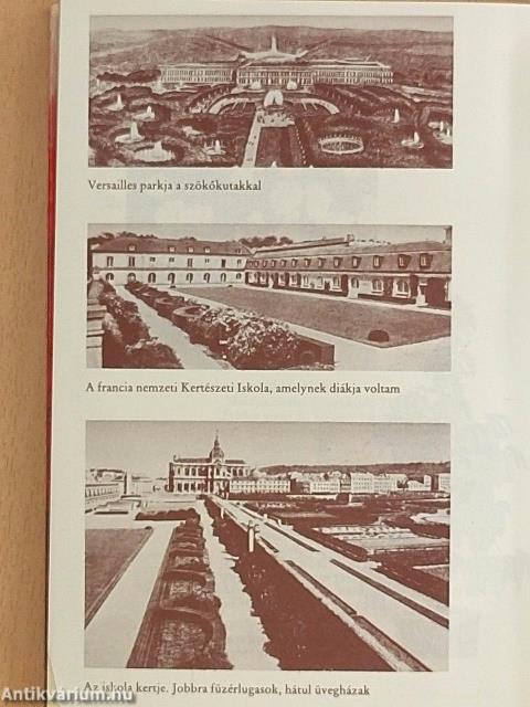 Egy világjáró kertjei