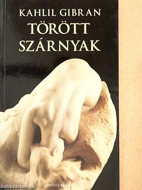 Törött szárnyak