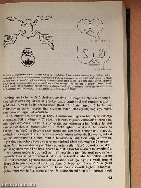 A pszichológia alapkérdései