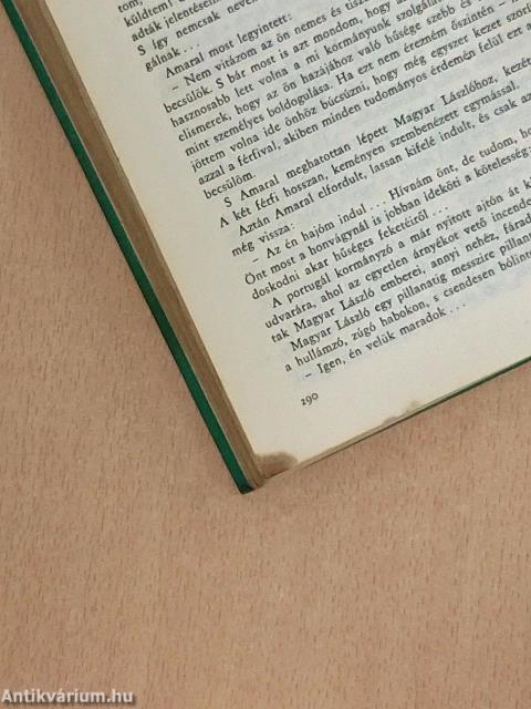 Őserdők mélyén