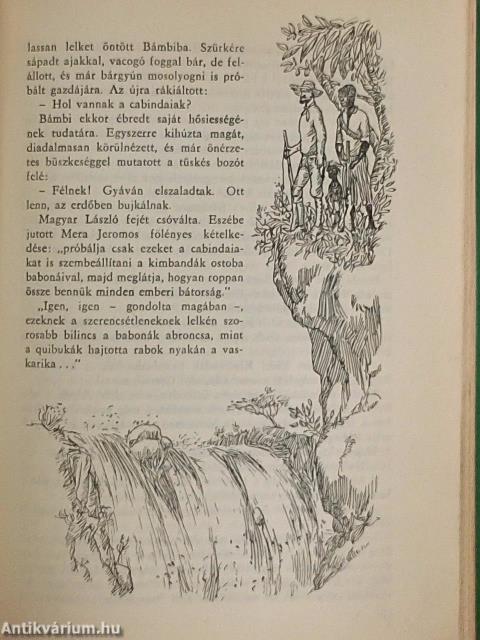 Őserdők mélyén